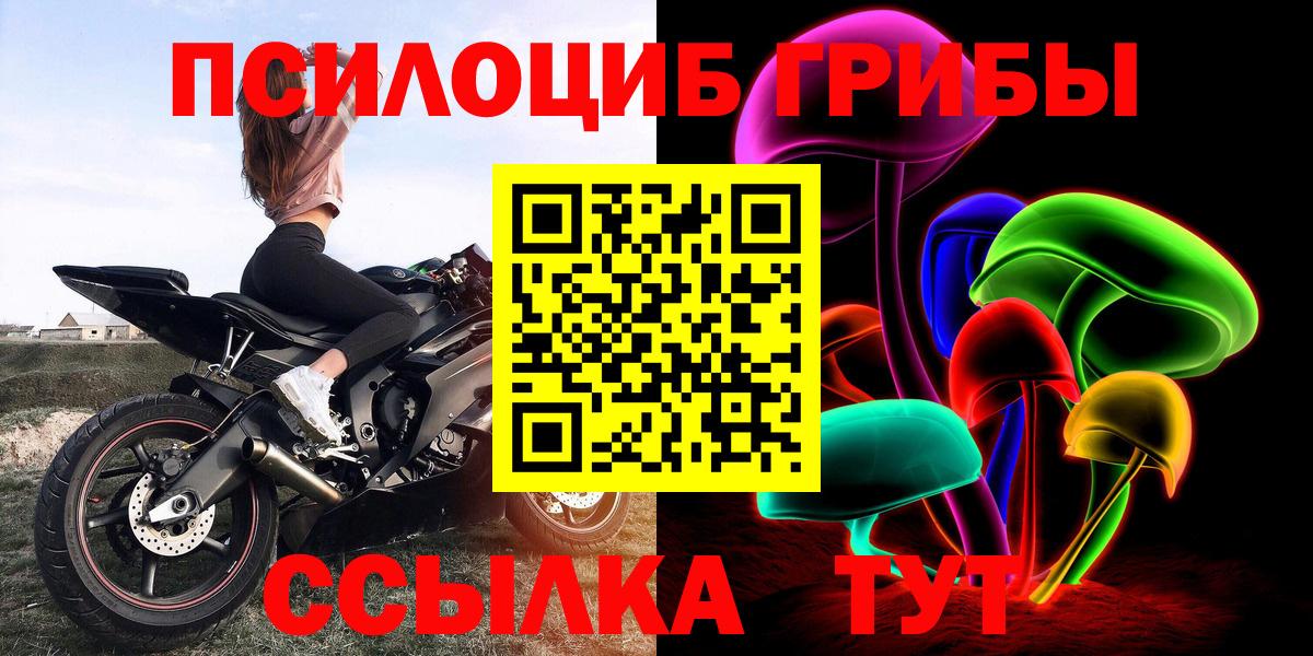 Псилоцибиновые грибы Psilocybine cubensis Орехово-Зуево