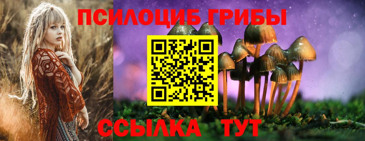 Псилоцибиновые грибы GOLDEN TEACHER  Вход с VPN  Орехово-Зуево  Псилоцибиновые грибы мицелий 